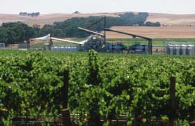 Kirrihill Wines - Winery Find 0