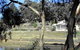 Eldredge Vineyards And Restaurant - thumb 1