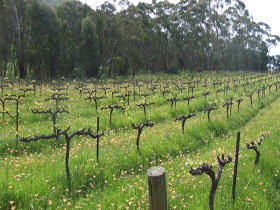 Jeanneret Wines - Winery Find 1