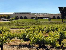 Taylors Wines - Winery Find 0
