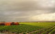 Kaesler Wines - thumb 2