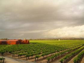 Kaesler Wines - Winery Find 2