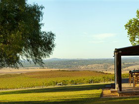 Pindarie - Winery Find 0