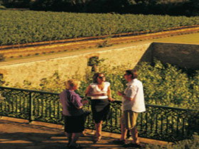 The Barossa's Butcher, Baker, Winemaker Trail - Winery Find 0