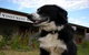 VineCrest Fine Barossa Wine - thumb 2