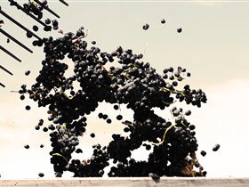 Rusden Wines - Winery Find 1
