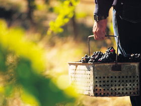 Hartz Barn Wines - Winery Find 1