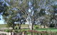St Hallett Wines - thumb 0