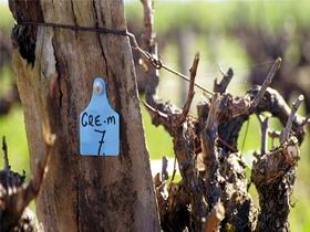 Bethany Wines - Winery Find 2