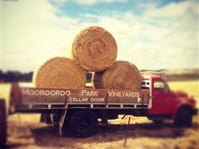 Moorooroo Park Vineyards - Winery Find 0