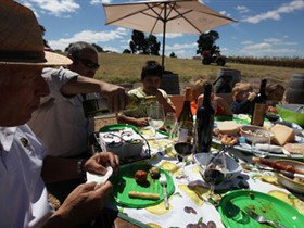Lyndoch SA Winery Find