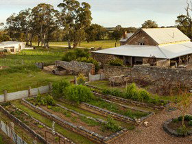 Hutton Vale And Farm Follies - Winery Find 1
