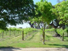 Tenafeate Creek Wines - Winery Find 2