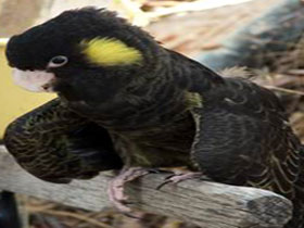 Adelaide Hills Wine Trail - Winery Find 3