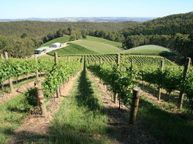 Deviation Road Winery - Winery Find 2