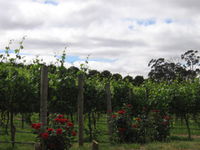 Book Balhannah Accommodation Vacations Winery Find Winery Find
