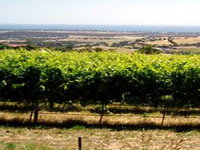 Book Hackham Accommodation Vacations Winery Find Winery Find