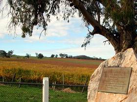 Howard Vineyard And Pardalote Bistro - Winery Find 2