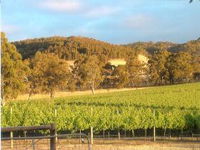 Nicklebray Vineyards