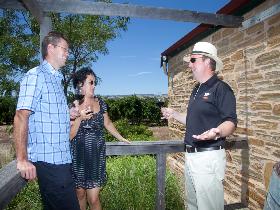 Shingleback Wine Cellar Door - Winery Find 0