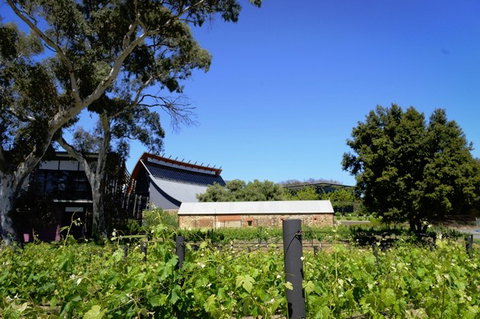 National Wine Centre Of Australia - Winery Find 3