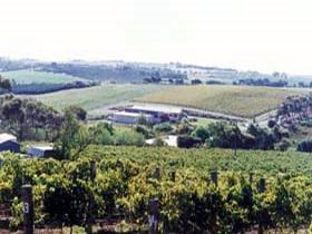 Maxwell Wines And Ellen Street Restaurant - Winery Find 1