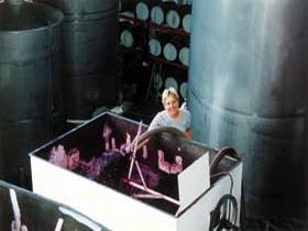 Maxwell Wines And Ellen Street Restaurant - Winery Find 2
