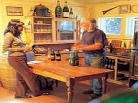 Maslin Beach SA Winery Find