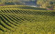 Mallee Estates - thumb 2