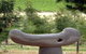 Bella Cosa Sculpture Park And Gallery Tapas Bar - thumb 0