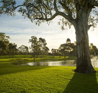 Serafino Wines - Winery Find