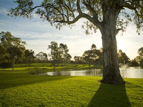 Serafino Wines - Winery Find 0