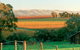 Wirra Wirra Vineyards - thumb 2