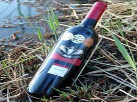 Sigismondi Estate Wines - Winery Find 1