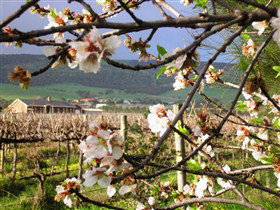 Sellicks Beach SA Winery Find