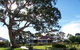 Longview Vineyard - thumb 1