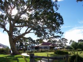 Longview Vineyard - Winery Find 1