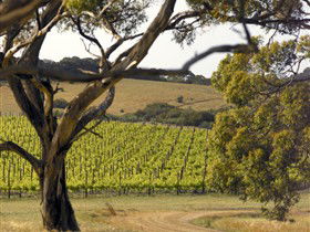 The Islander Estate Vineyards Pty Ltd - Winery Find 1