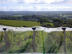 The Islander Estate Vineyards Pty Ltd - Winery Find 2