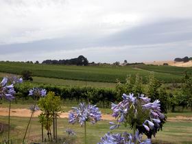 Mount Jagged Wines - Winery Find 1