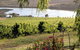 Mount Jagged Wines - thumb 2
