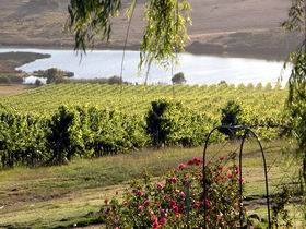Mount Jagged Wines - Winery Find 2
