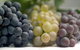 Cleggett Wines - thumb 2
