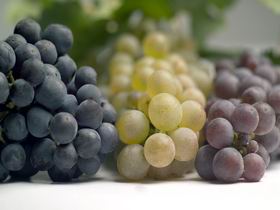 Cleggett Wines - Winery Find 2