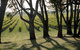 Henry's Drive Vignerons - thumb 0