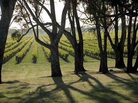 Henry's Drive Vignerons - Winery Find 0