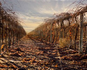 Andrew Peace Wines - Winery Find 1