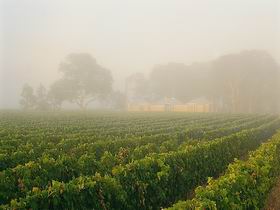 Yalumba Coonawarra Estate - Winery Find 2