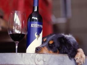 Koonara Wines - Winery Find 0