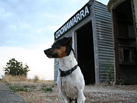 Koonara Wines - Winery Find 1